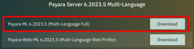 Payara ダウンロード画面