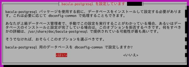 Baculaインストール中の PostgreSQL設定画面 1