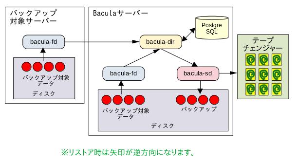Bacularis 1